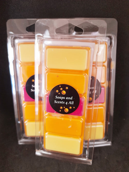 Fruit Salad wax melt