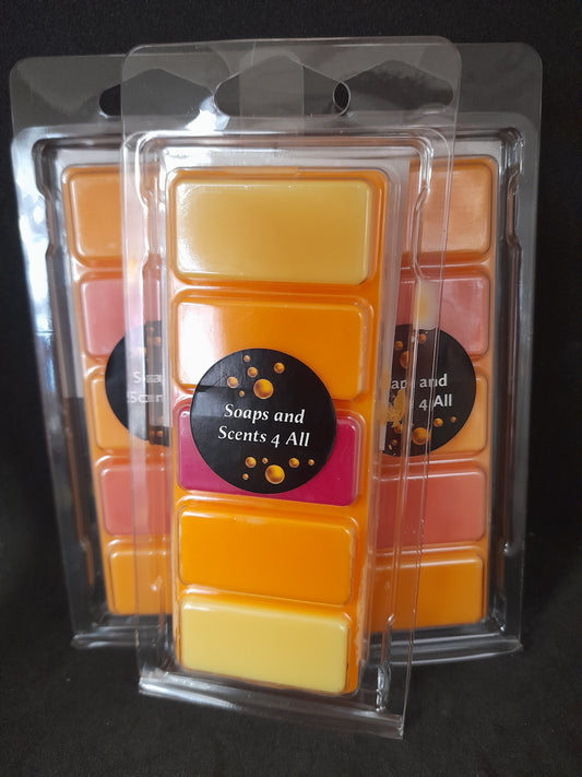 Fruit Salad Wax Melt