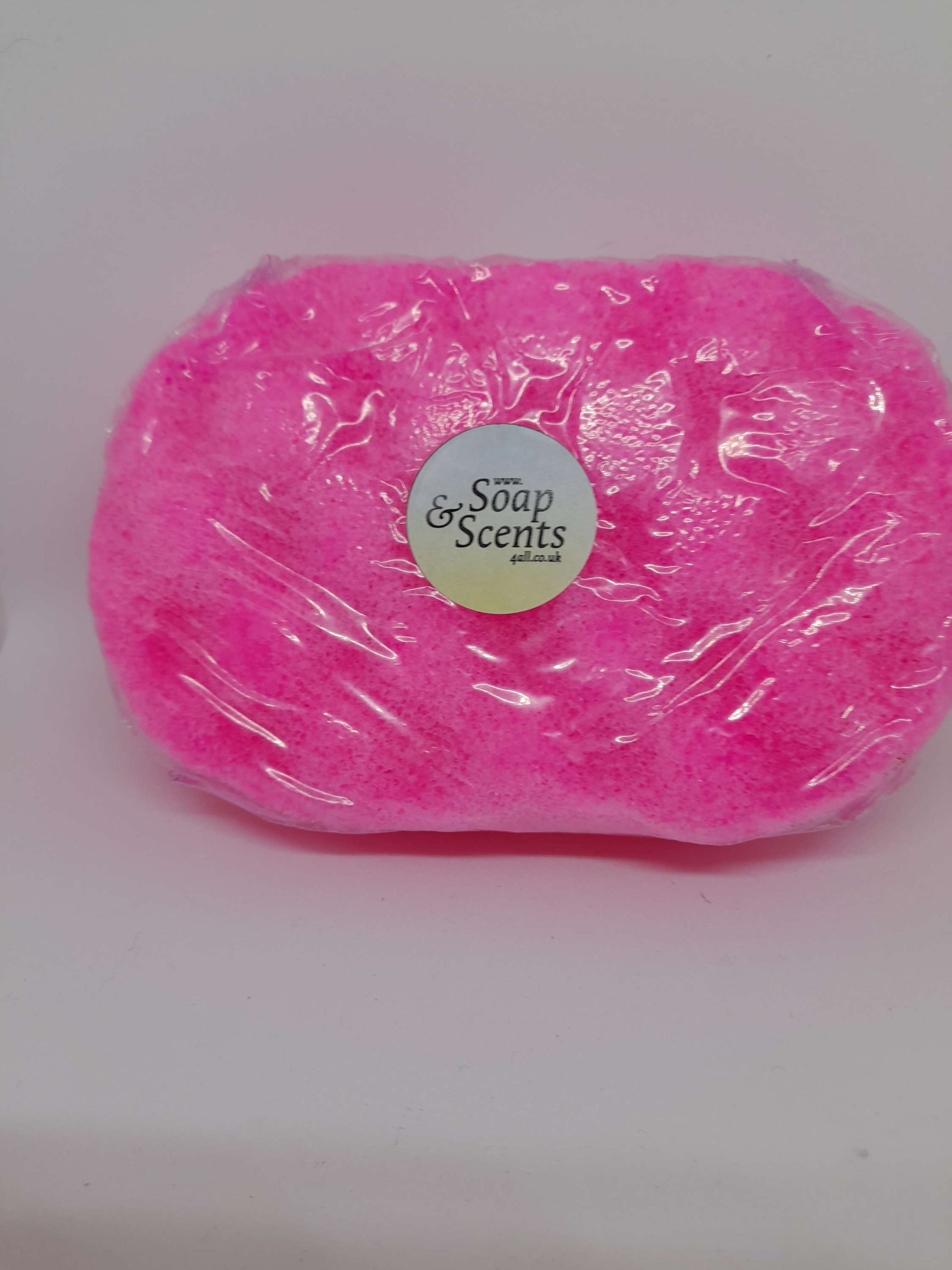 Watermelon Large Soap Sponge  image 0