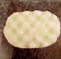 Olbas Oil image 0