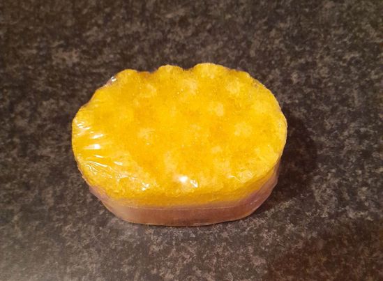 Reigh Soap Sponge image 1