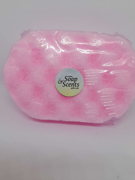 Snow Fairy Inspired Large Soap Sponge  image 0